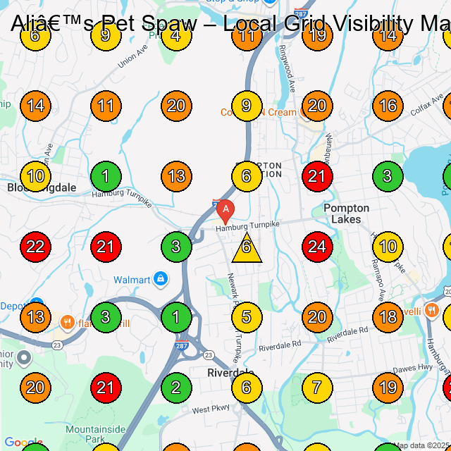 Ali's Pet Spaw Pet Groomer GeoGrid ranking map for Riverdale NJ